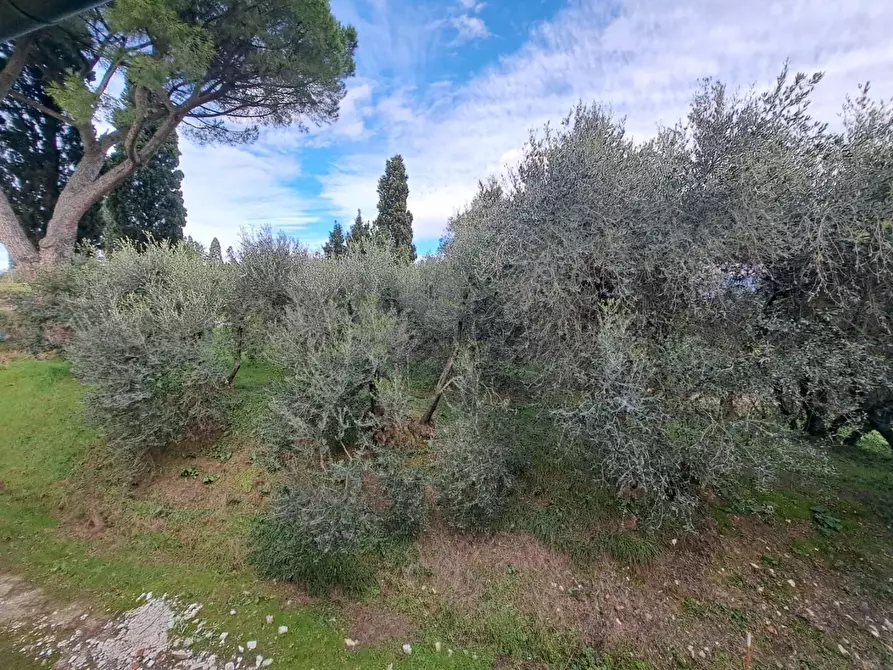 Immagine 14 di Terratetto in vendita  a Cerreto Guidi
