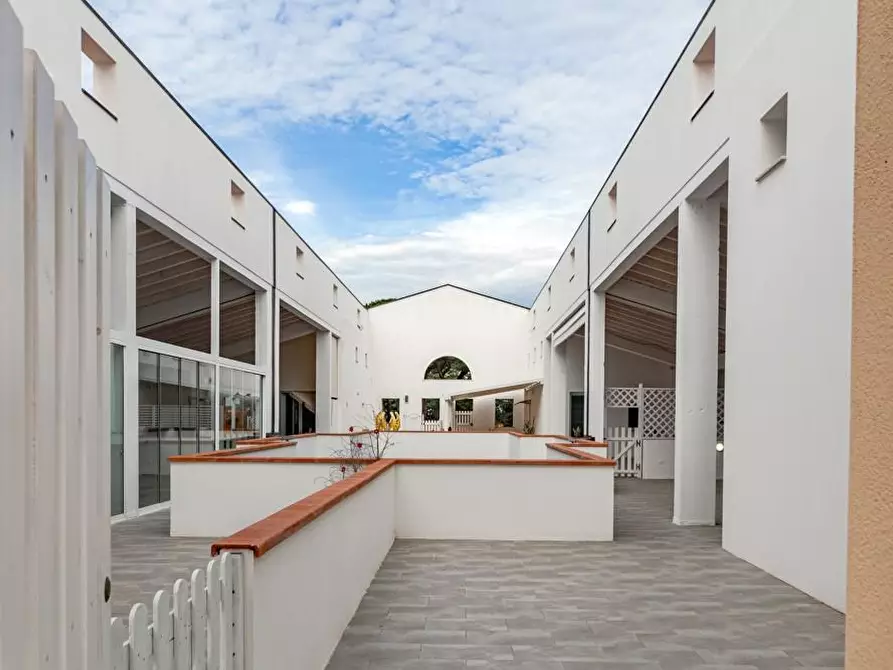 Immagine 6 di Appartamento in vendita  a Cecina