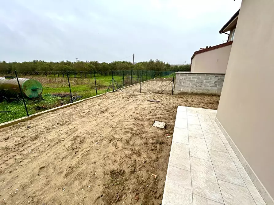 Immagine 2 di Appartamento in vendita  a Pontedera