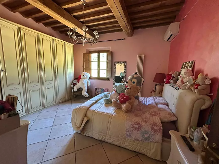 Immagine 37 di Casa colonica in vendita  a Cerreto Guidi
