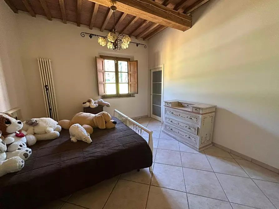 Immagine 46 di Casa colonica in vendita  a Cerreto Guidi