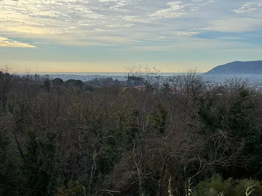 Immagine 17 di Villa in vendita  a Castelnuovo Magra