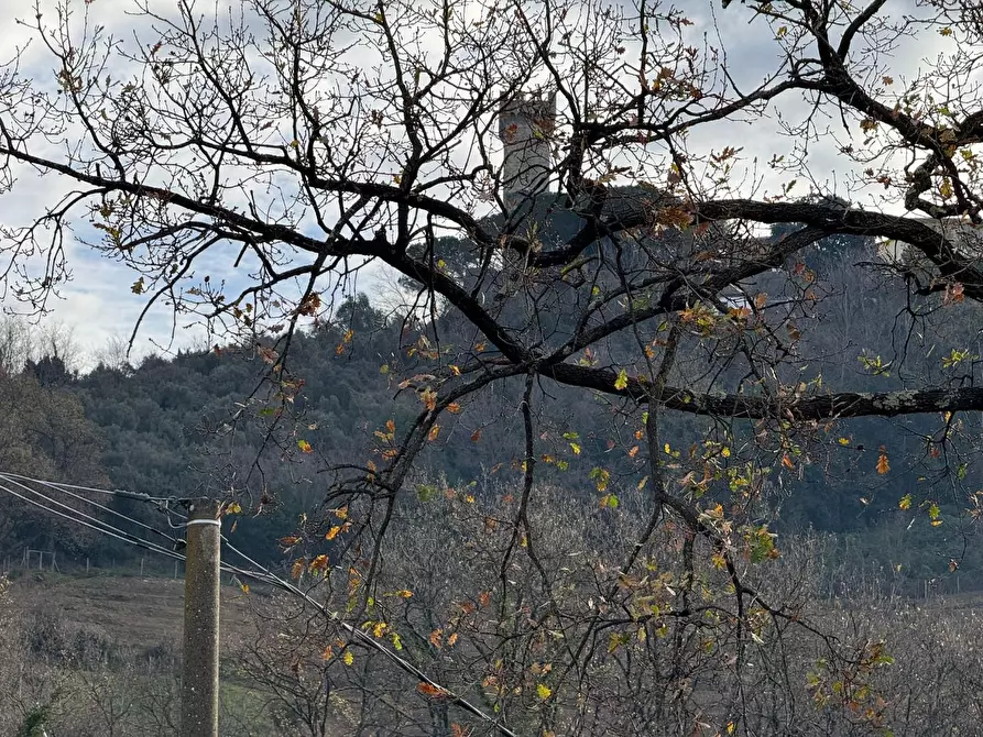 Immagine 16 di Villa in vendita  a Castelnuovo Magra
