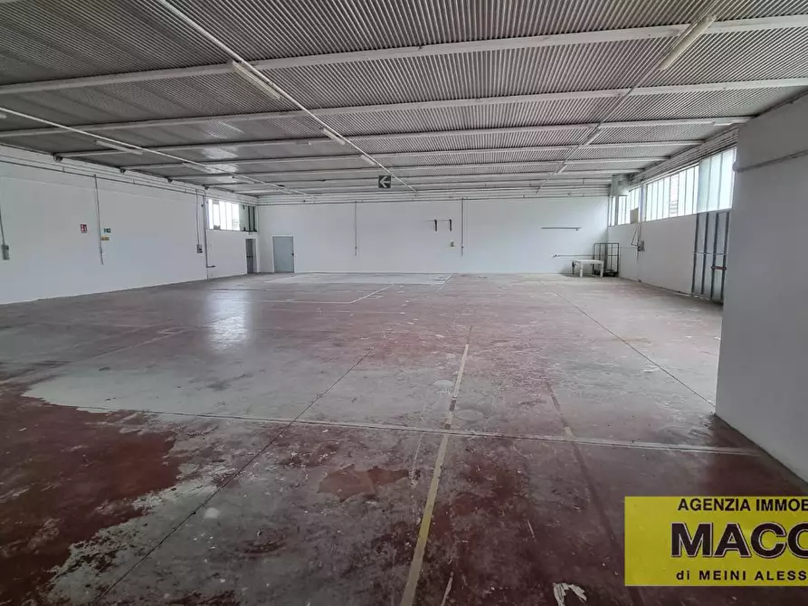 Immagine 1 di Attività artigianale in affitto  a Casciana Terme Lari