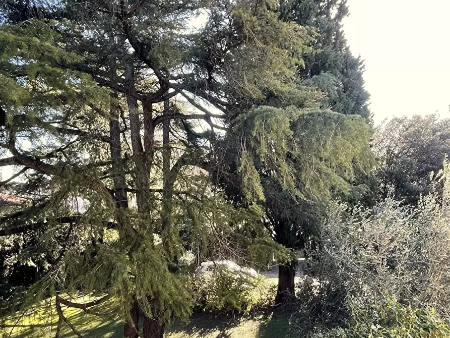 Immagine 49 di Villa in vendita  a Empoli