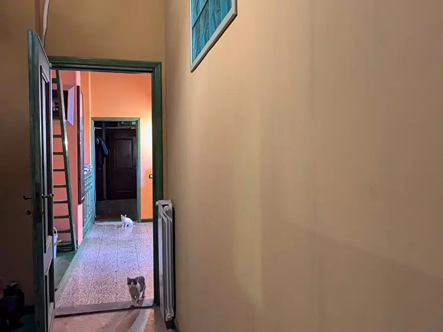 Immagine 8 di Appartamento in vendita  a Cerreto Guidi