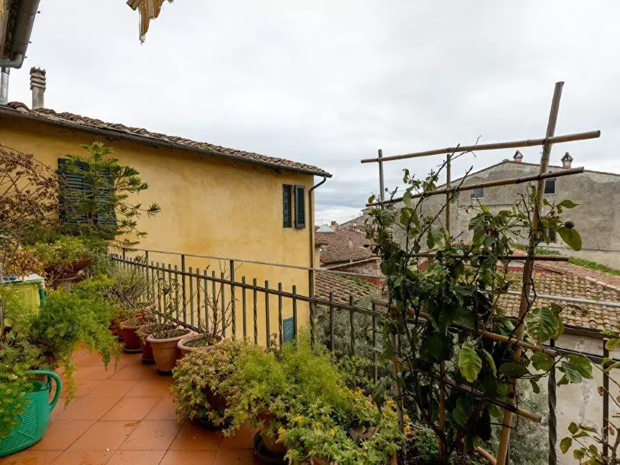 Immagine 12 di Appartamento in affitto  a Pisa