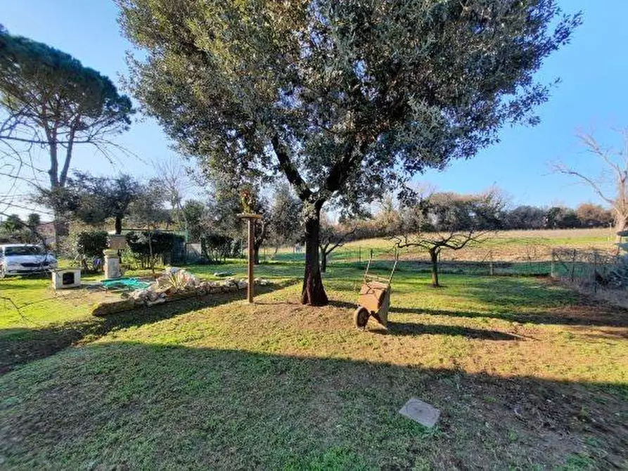 Immagine 28 di Casa bifamiliare in vendita  a Rosignano Marittimo