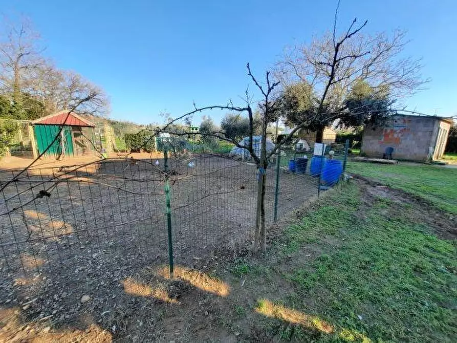 Immagine 29 di Casa bifamiliare in vendita  a Rosignano Marittimo