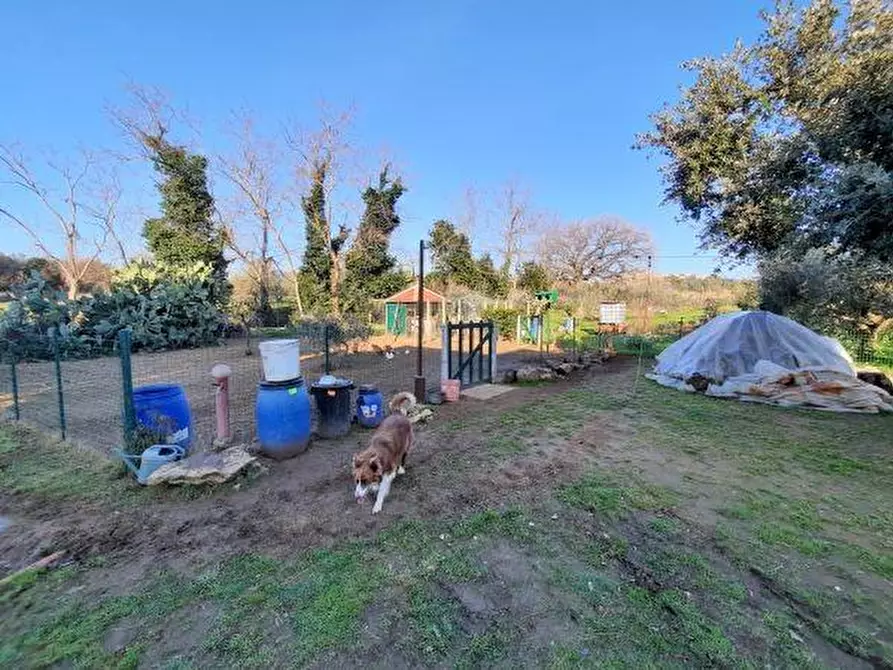 Immagine 27 di Casa bifamiliare in vendita  a Rosignano Marittimo