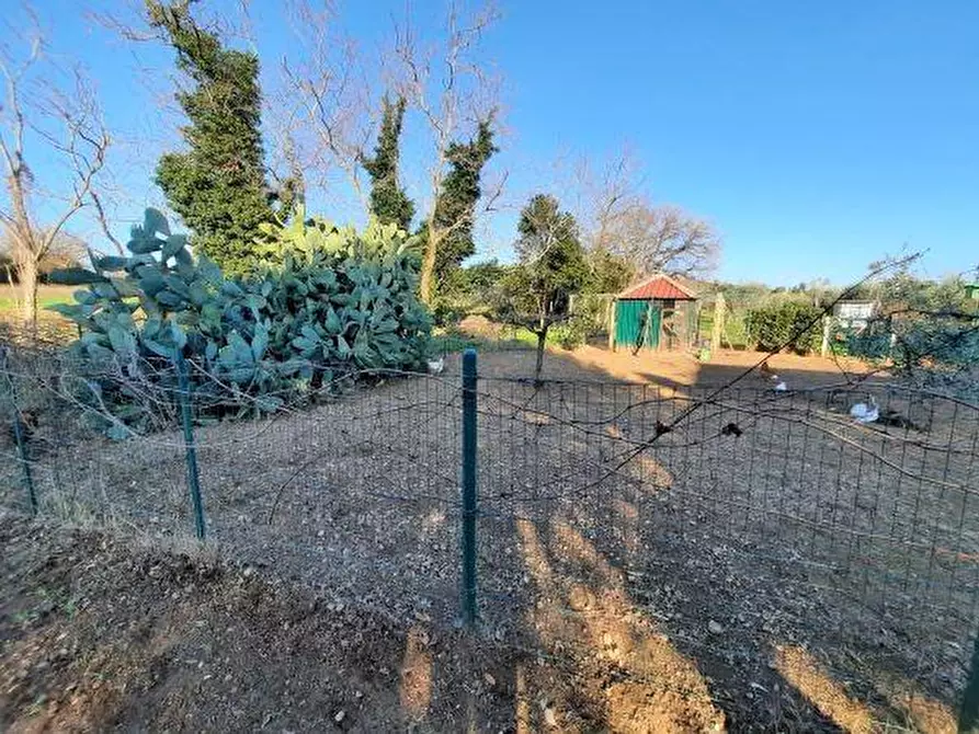 Immagine 24 di Casa bifamiliare in vendita  a Rosignano Marittimo