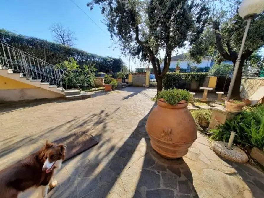 Immagine 4 di Casa bifamiliare in vendita  a Rosignano Marittimo