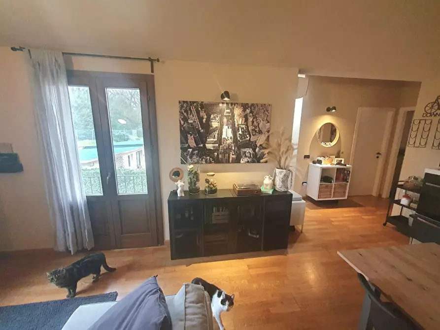 Immagine 11 di Appartamento in vendita  a Capannori