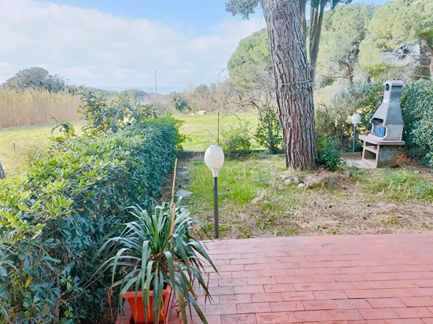 Immagine 9 di Appartamento in vendita  a Rosignano Marittimo