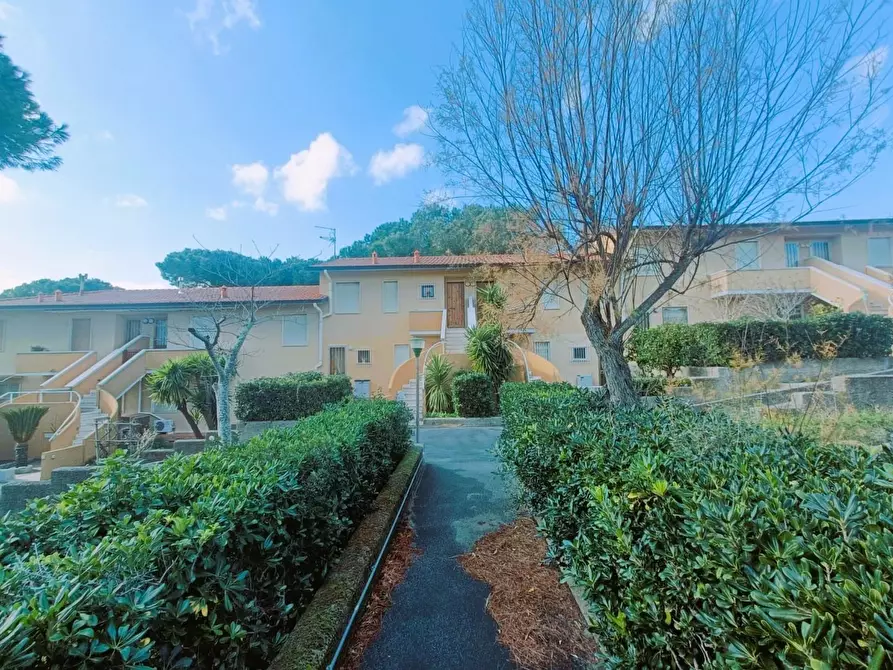 Immagine 19 di Appartamento in vendita  a Rosignano Marittimo