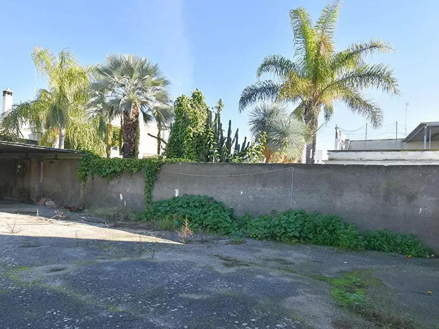 Immagine 9 di Casa indipendente in vendita  a Veglie