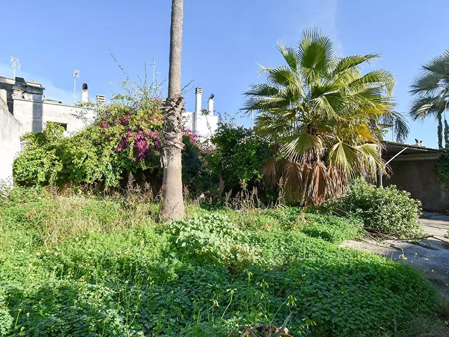 Immagine 10 di Casa indipendente in vendita  a Veglie