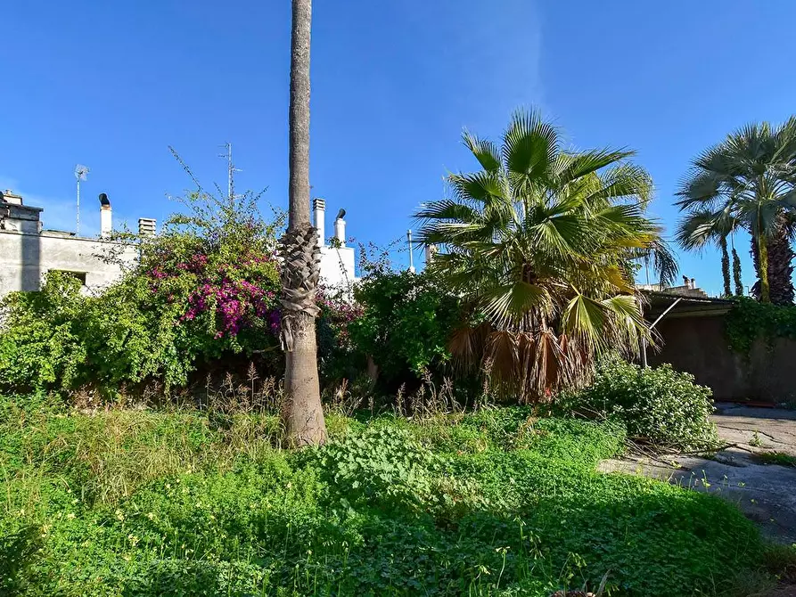 Immagine 11 di Casa indipendente in vendita  a Veglie