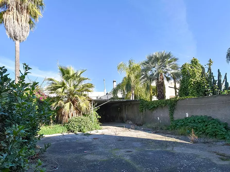 Immagine 2 di Casa indipendente in vendita  a Veglie