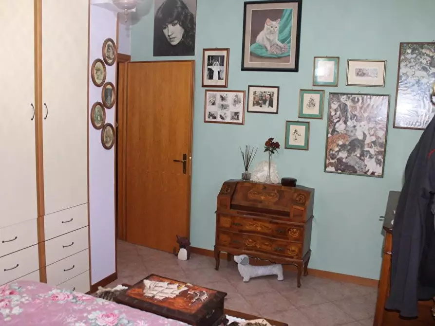 Immagine 23 di Terratetto in vendita  a Bibbona