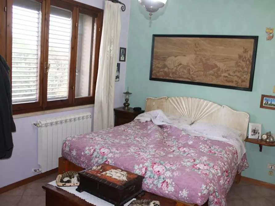 Immagine 21 di Terratetto in vendita  a Bibbona