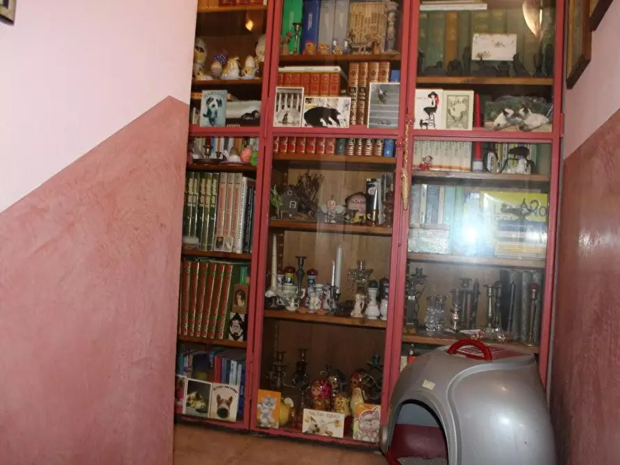 Immagine 34 di Terratetto in vendita  a Bibbona