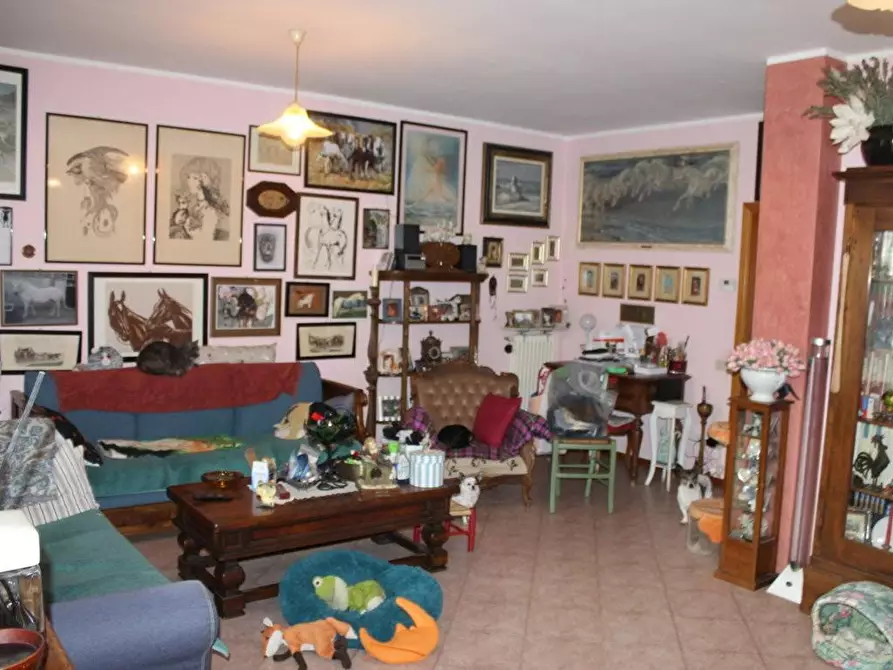 Immagine 29 di Terratetto in vendita  a Bibbona