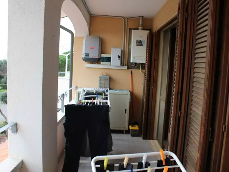 Immagine 20 di Terratetto in vendita  a Bibbona