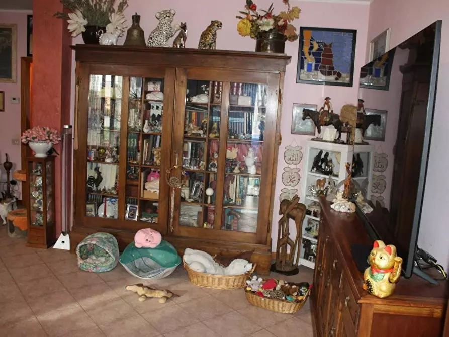 Immagine 28 di Terratetto in vendita  a Bibbona