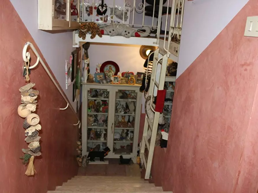 Immagine 25 di Terratetto in vendita  a Bibbona