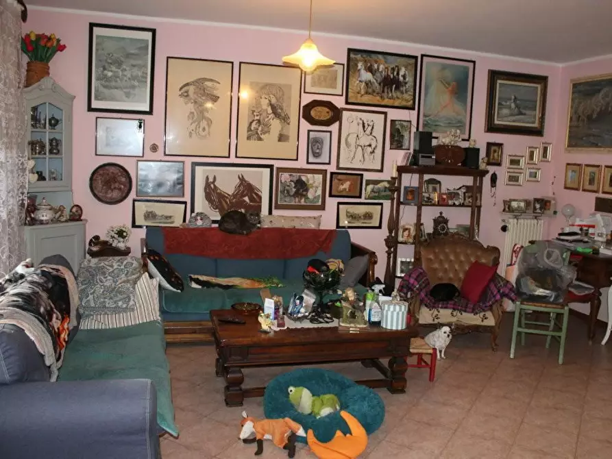 Immagine 30 di Terratetto in vendita  a Bibbona