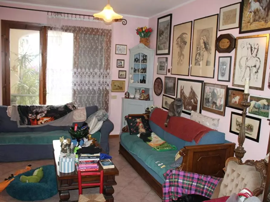 Immagine 27 di Terratetto in vendita  a Bibbona