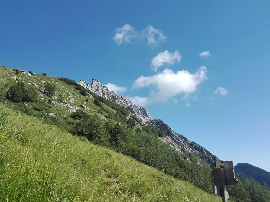 Immagine 31 di Ufficio in vendita  a Carrara