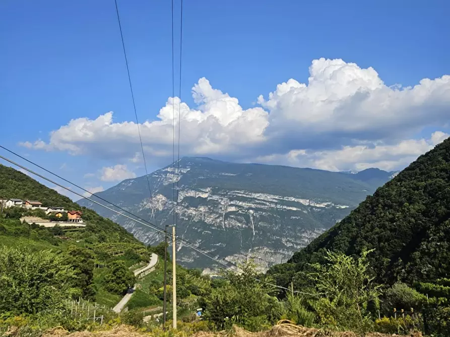 Immagine 9 di Ufficio in vendita  a Carrara