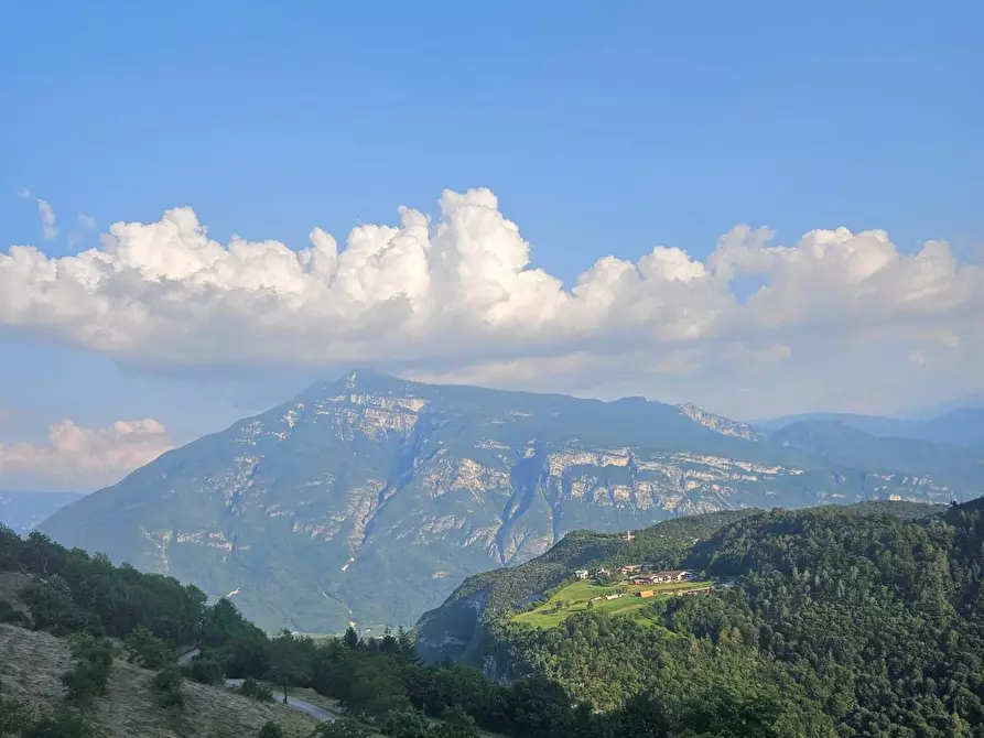 Immagine 21 di Ufficio in vendita  a Carrara