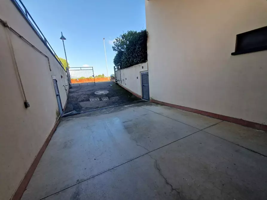 Immagine 13 di Appartamento in vendita  a Rosignano Marittimo