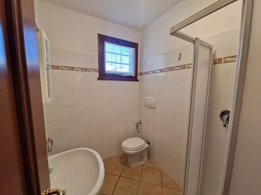 Immagine 16 di Appartamento in vendita  a Rosignano Marittimo