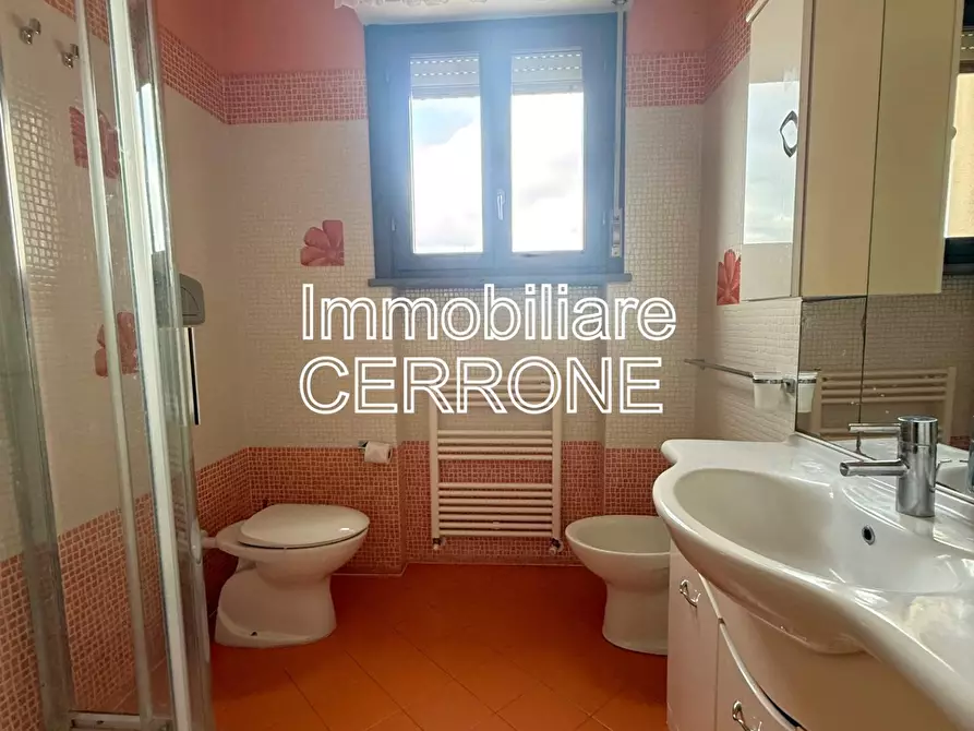 Immagine 12 di Appartamento in vendita  a Cecina