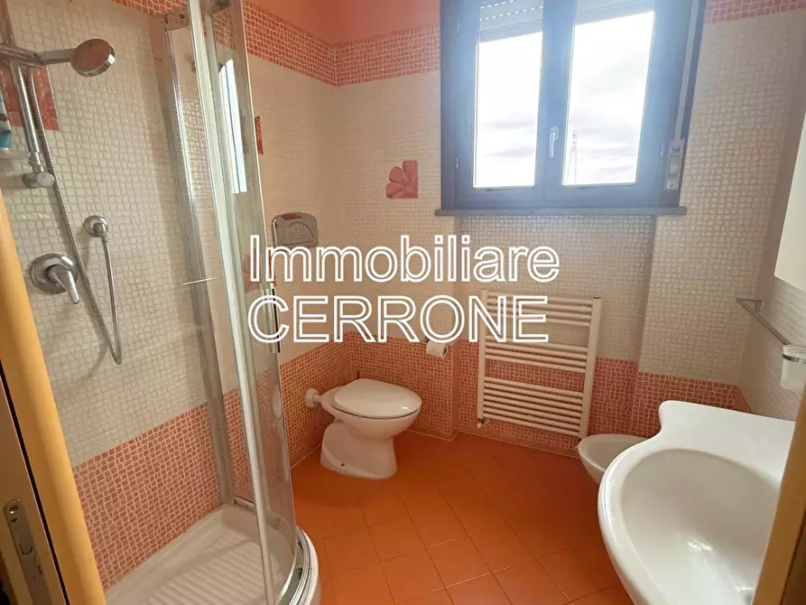 Immagine 13 di Appartamento in vendita  a Cecina