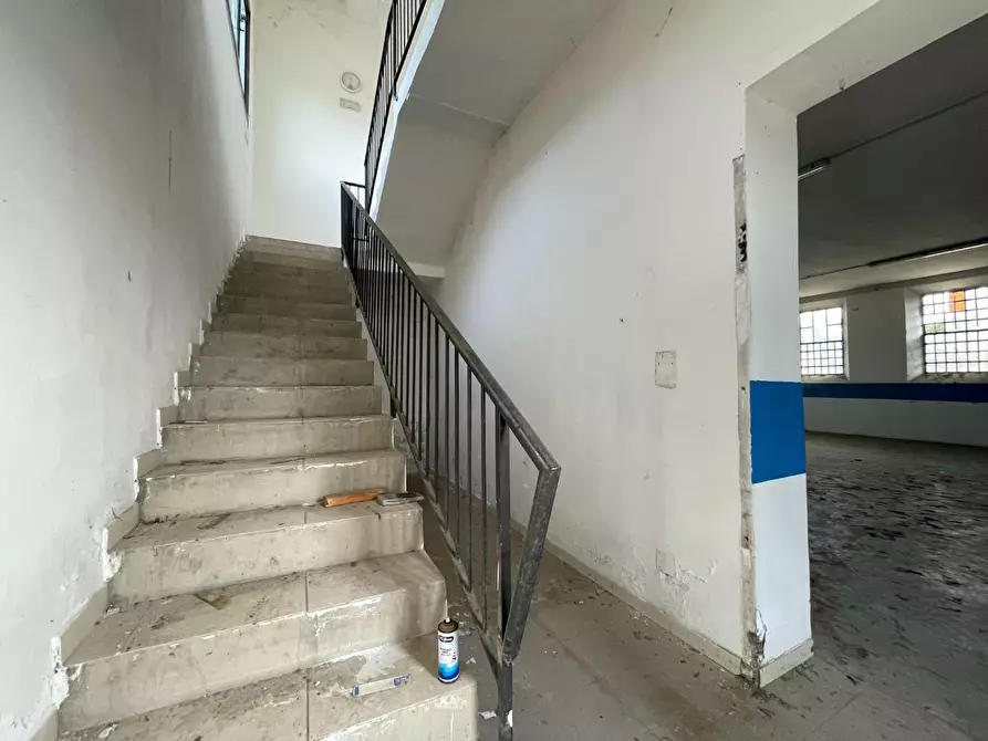 Immagine 25 di Attività artigianale in affitto  a Vecchiano