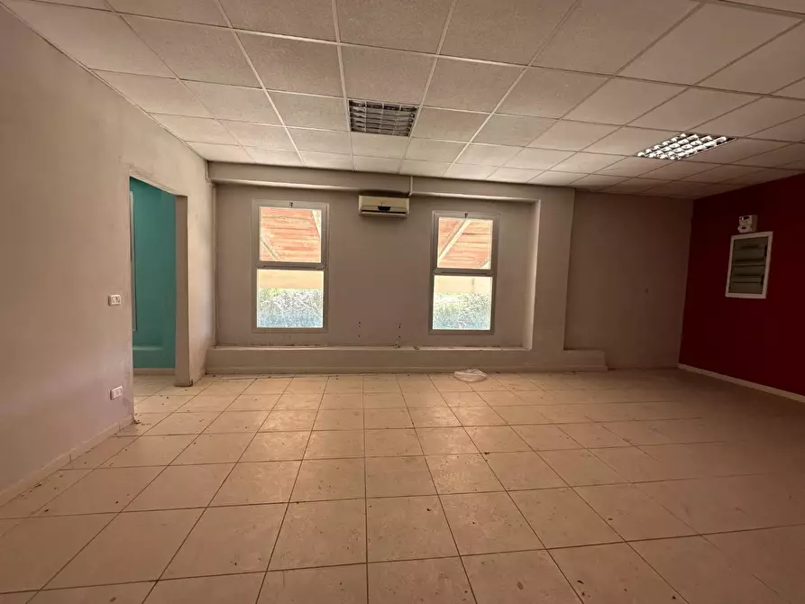 Immagine 22 di Attività artigianale in affitto  a Vecchiano