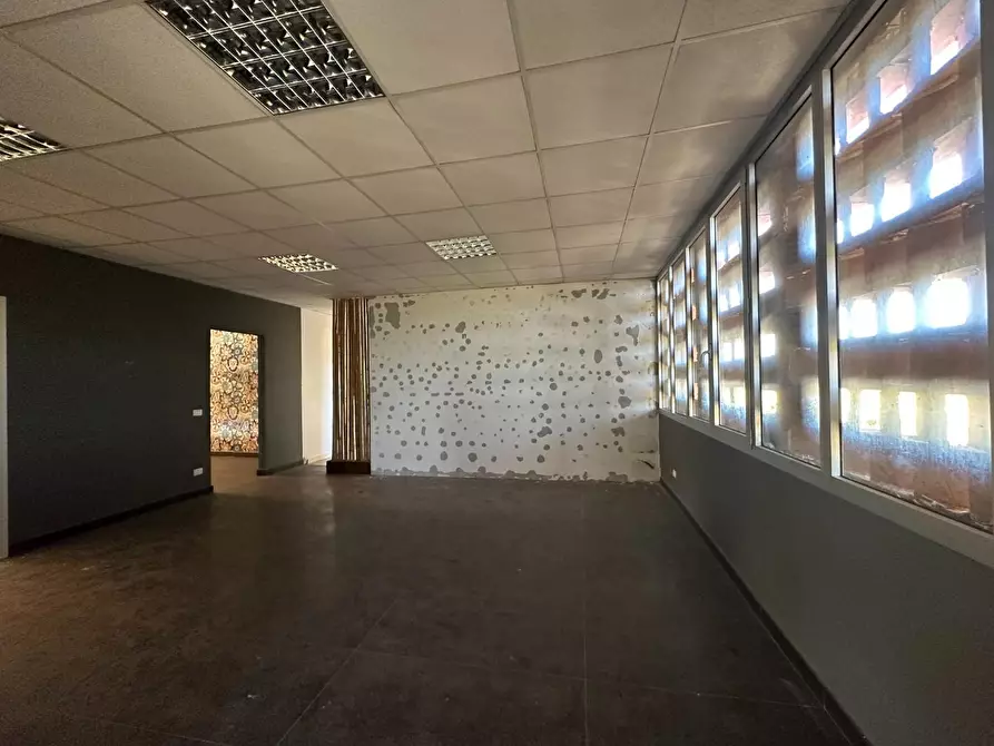 Immagine 20 di Attività artigianale in affitto  a Vecchiano