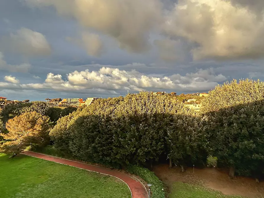 Immagine 3 di Appartamento in vendita  a Livorno