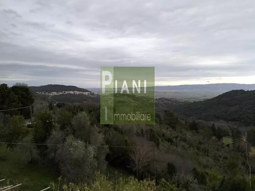 Immagine 17 di Terratetto in vendita  a Rosignano Marittimo