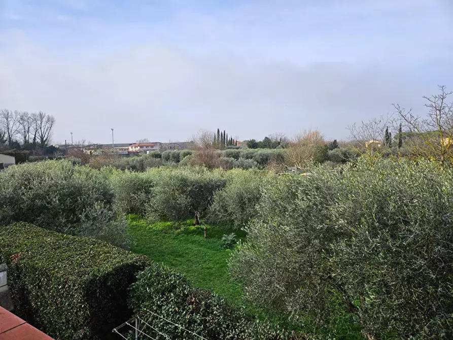 Immagine 11 di Casa bifamiliare in vendita  a San Giuliano Terme