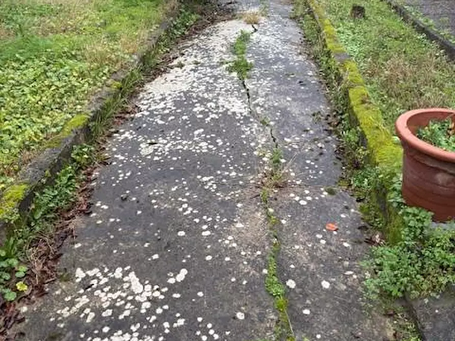 Immagine 4 di Villa in vendita  a Carrara