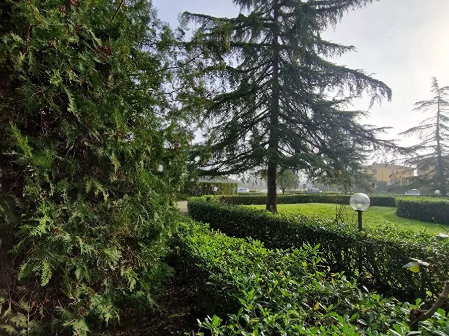 Immagine 1 di Appartamento in vendita  a Casciana Terme Lari