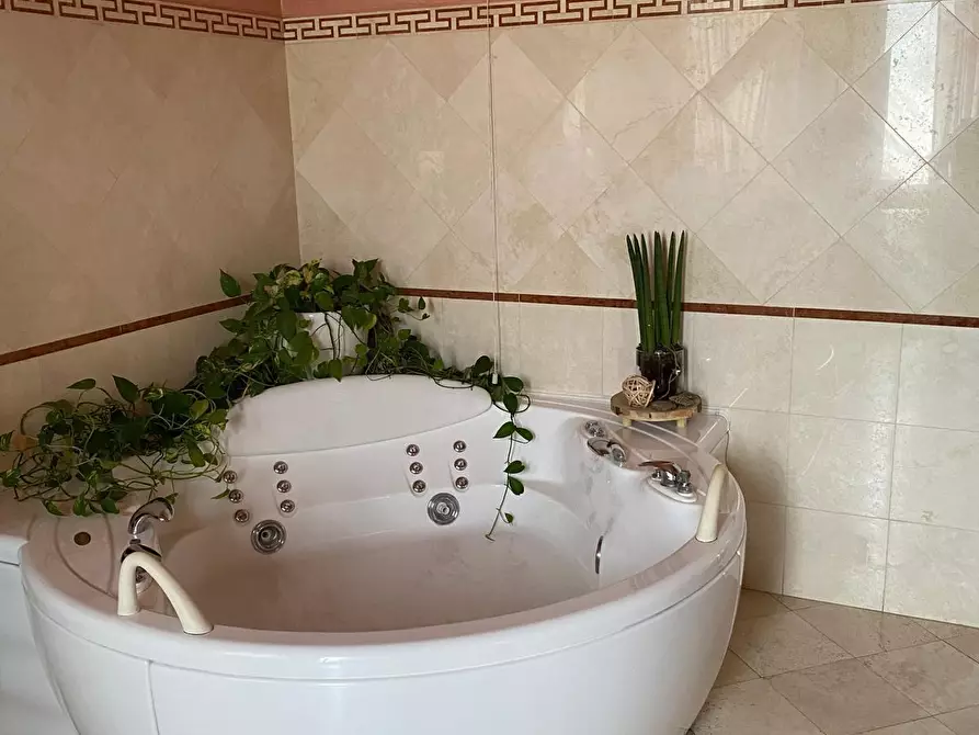 Immagine 15 di Appartamento in vendita  a Massa