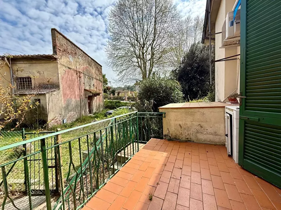 Immagine 16 di Appartamento in vendita  a Palaia