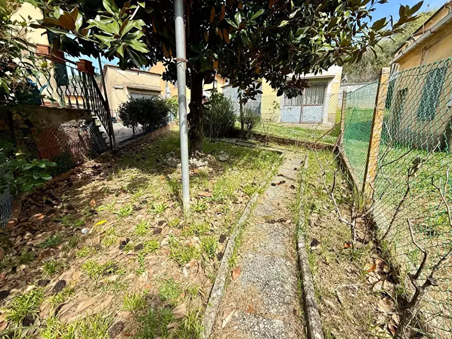 Immagine 3 di Appartamento in vendita  a Palaia